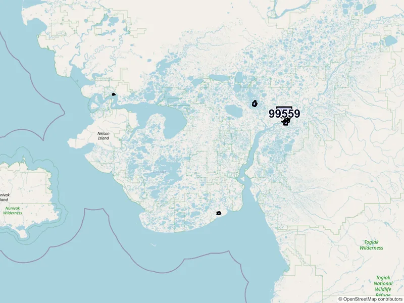 Map of Bethel, Alaska and ZIP codes
