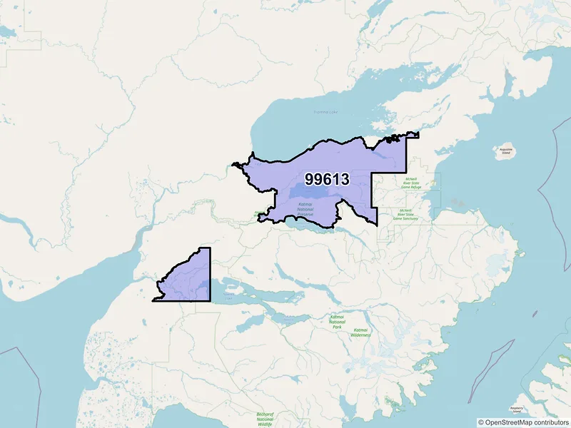 Map of King Salmon, Alaska and ZIP codes